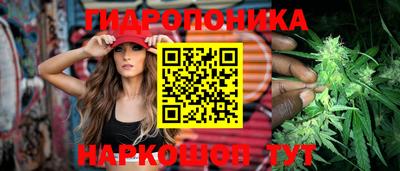 хмурый Канаш
