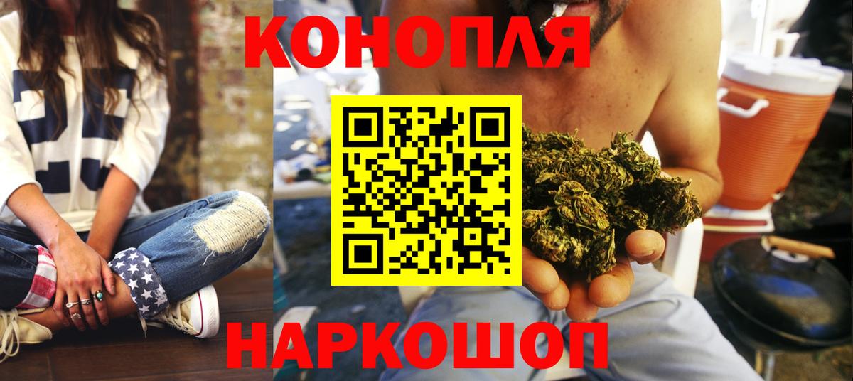 Марихуана сатива Котлас